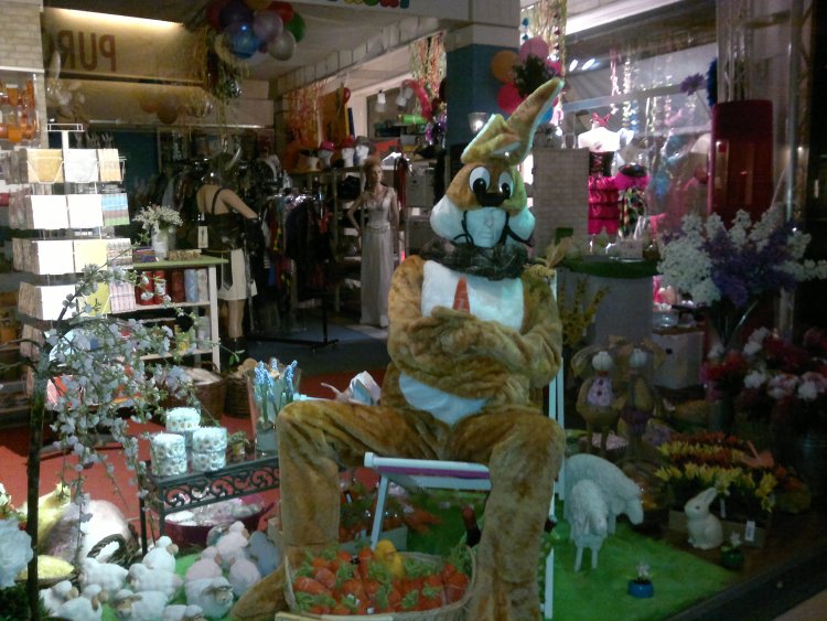 ../previews/002-2013-03-20-192.jpg.medium.jpeg