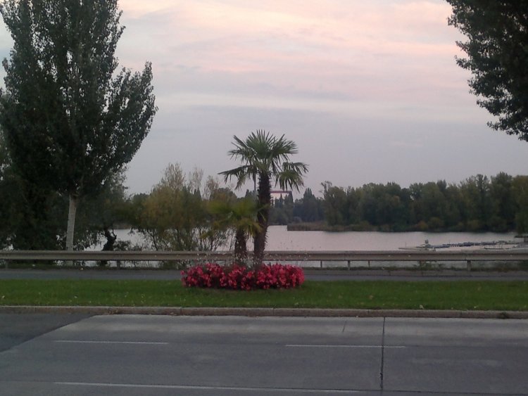 ../previews/014-2013-10-01-871.jpg.medium.jpeg