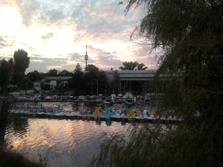 ../previews/016-2013-10-01-873.jpg.medium.jpeg